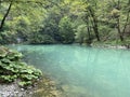 Karst spring of the river Kupa or natural monument source of the river Kupa in the region of Gorski kotar - Razloge, Croatia Royalty Free Stock Photo