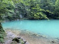 Karst spring of the river Kupa or natural monument source of the river Kupa in the region of Gorski kotar - Razloge, Croatia Royalty Free Stock Photo