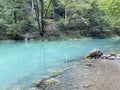 Karst spring of the river Kupa or natural monument source of the river Kupa in the region of Gorski kotar - Razloge, Croatia Royalty Free Stock Photo