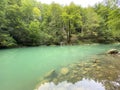 Karst spring of the river Kupa or natural monument source of the river Kupa in the region of Gorski kotar - Razloge, Croatia Royalty Free Stock Photo