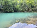 Karst spring of the river Kupa or natural monument source of the river Kupa in the region of Gorski kotar - Razloge, Croatia Royalty Free Stock Photo