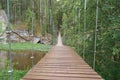 Karst suspension bridge over the river Serga in the forest in cloudy cloudy weather in national Park in Sverdlovsk region cervine