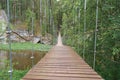 Karst suspension bridge over the river Serga in the forest in cloudy cloudy weather in national Park in Sverdlovsk region cervine Royalty Free Stock Photo