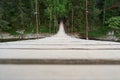 Karst suspension bridge over the river Serga in the forest in cloudy cloudy weather in national Park in Sverdlovsk region cervine