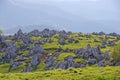 Karst topography (Shikoku Karst) Royalty Free Stock Photo