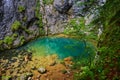 Karstic spring in Romania Royalty Free Stock Photo