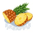 Pineapple Fruit