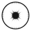 Eye 7