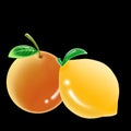 Fresh, ripe orange and lemon isolated on a black background. Royalty Free Stock Photo