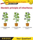 Biology, Heredity Combination, Mendelian genetics