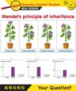 Biology, Heredity Combination, Mendelian genetics