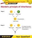 Biology, Heredity Combination, Mendelian genetics
