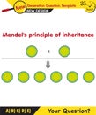 Biology, Heredity Combination, Mendelian genetics