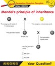 Biology, Heredity Combination, Mendelian genetics