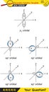 Chemistry - Functional groups commonly found in organic chemistry, Structural formula, organic chemical, Concept for basic chemist