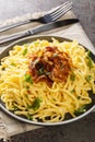 Kasespatzle German Cheese Spaetzle with fried onion closeup on the plate. Vertical Royalty Free Stock Photo