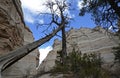 Kasha-Katuwe Tent Rocks National Monument, New Mexico, USA Royalty Free Stock Photo