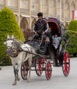 Kashan, Iran - 2019-04-14 - Naqshe Cehan Square family takes ride in horse drawn carriage around the square