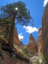 Kashe Katuwe Hoodoo`s White Cliff Slot Canyon