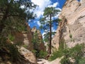 Kashe Katuwe Hoodoo `White Cliff` rock Formations in Slot Canyon