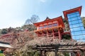 KASHIMA CITY, SAGA, JAPAN - MARCH 11, 2017 : Yutoku Inari is a S