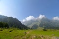 View of valley in Sonamarg Sonmarg in summer, Jammu and Kashmir, India Royalty Free Stock Photo