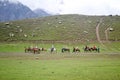 Kashmir, India October 2018 - Landscape view of Gulmarg a popular hill station destination scene in summer time of Indian state of Royalty Free Stock Photo