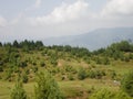 Kashmir Jannah View