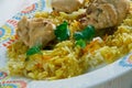 Kashmiri Chicken Pulao Royalty Free Stock Photo