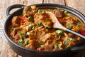 Kashmiri Lamb rogan josh with spices and gravy close-up in a pan. horizontal