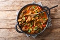 Kashmiri Lamb rogan josh with spices and gravy close-up in a pan. Horizontal top view