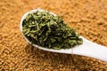 Kasoori methi or Dried fenugreek Leaves Royalty Free Stock Photo