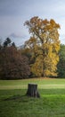 Kassel Park with Late autumn leaves