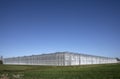 Greenhouses near the Groningen village of Zandeweer Royalty Free Stock Photo