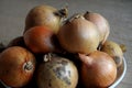 ONION VEGES ON TABLE IN DENMAK Royalty Free Stock Photo