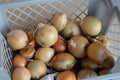 ONION VEGES ON TABLE IN DENMARK