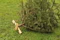 Reisentent of alleen has thrown christams tree in yard