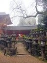 The Kasuga Taisha Grand Shrine in Nara. Royalty Free Stock Photo