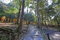 Kasuga Taisha, a Shinto shrine with beautiful lantern