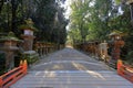 Kasuga Taisha, a Shinto shrine with beautiful lantern