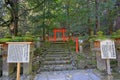 Kasuga Taisha, a Shinto shrine with beautiful lantern