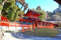 Kasuga Taisha, a Shinto shrine with beautiful lantern