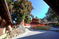 Kasuga Taisha, a Shinto shrine with beautiful lantern