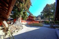 Kasuga Taisha, a Shinto shrine with beautiful lantern