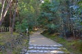 Kasuga Taisha, a Shinto shrine with beautiful lantern