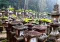 The Kasuga Taisha Grand Shrine in Nara. Royalty Free Stock Photo