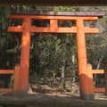 Kasuga-Taisha temple, torii, cherry blossoms and stone lanterns in Nara in Japan Royalty Free Stock Photo