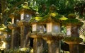 KasugaTaisha Shinto Shrine, Nara, Japan Royalty Free Stock Photo