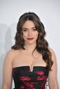 Kat Dennings Royalty Free Stock Photo