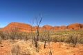 KATA TJUTA, AUSTRALIA - The Olga`s Royalty Free Stock Photo